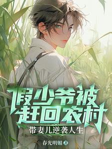 偏见先生