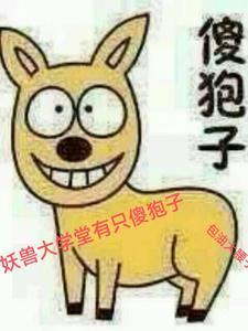 网恋女友怎么维持感情