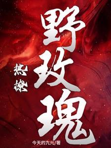 新星家园二期属于哪个街道