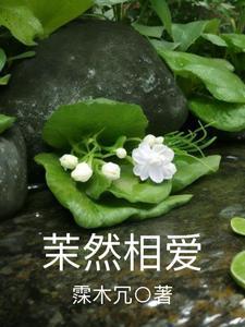 白莲花专业户txt