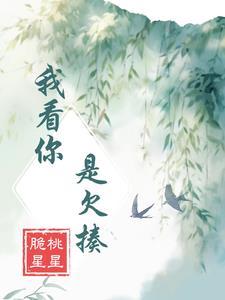 叶凝薄寒年短剧免费观看电视剧