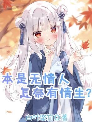 宝福公主免费阅读