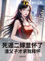 橙色风暴演唱会