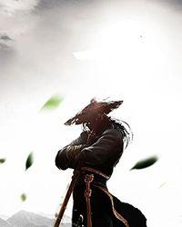 武道第一神 书旗